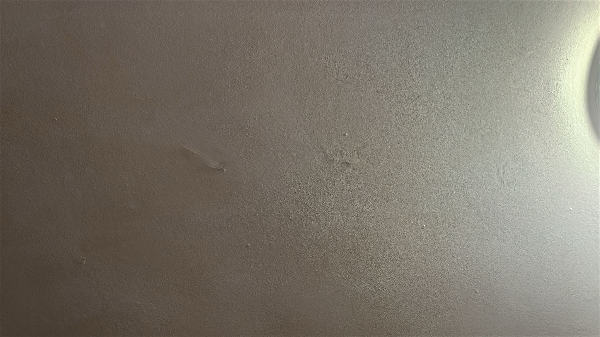 1000015952.jpg