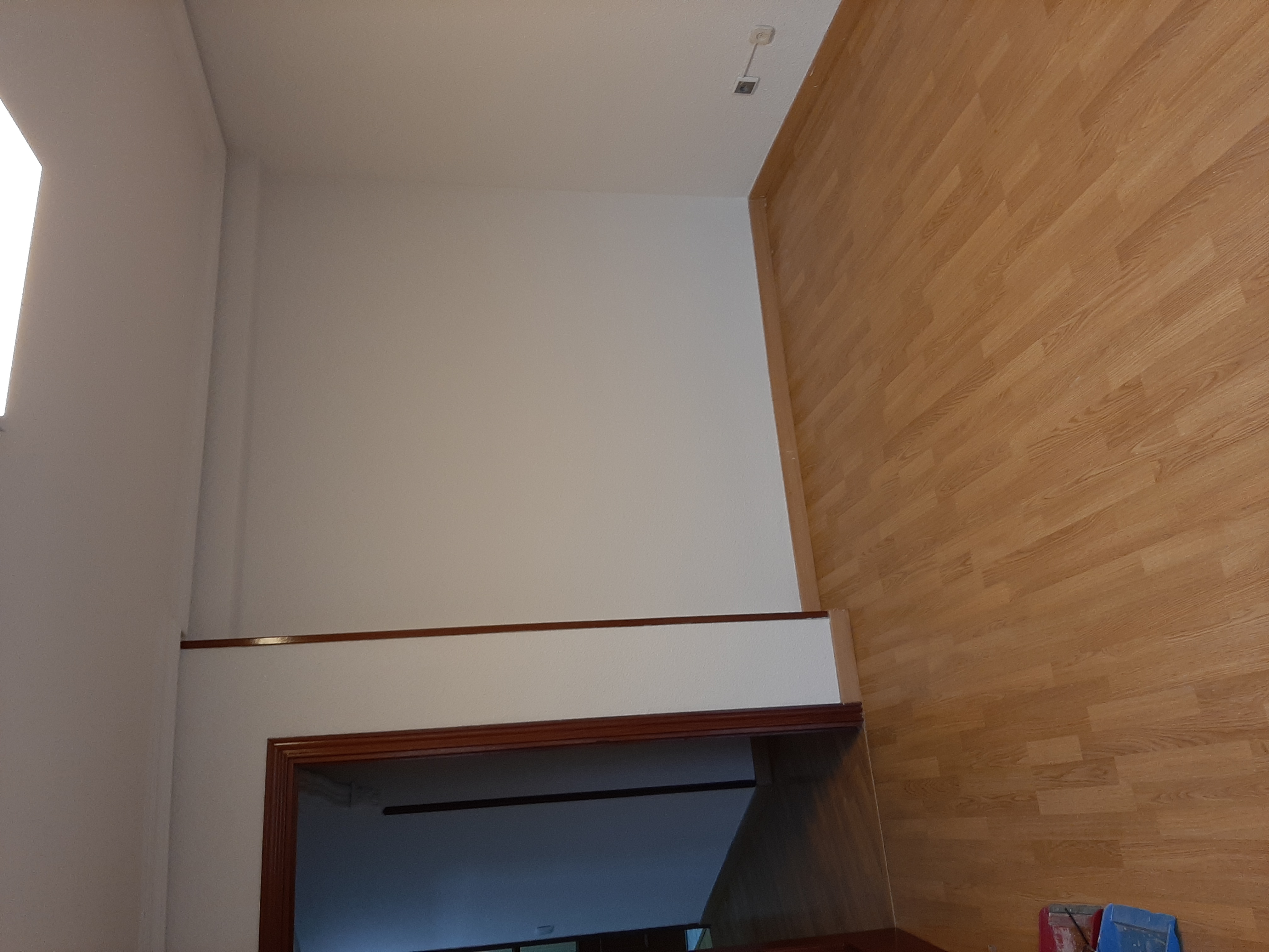 20250308_104509.jpg
