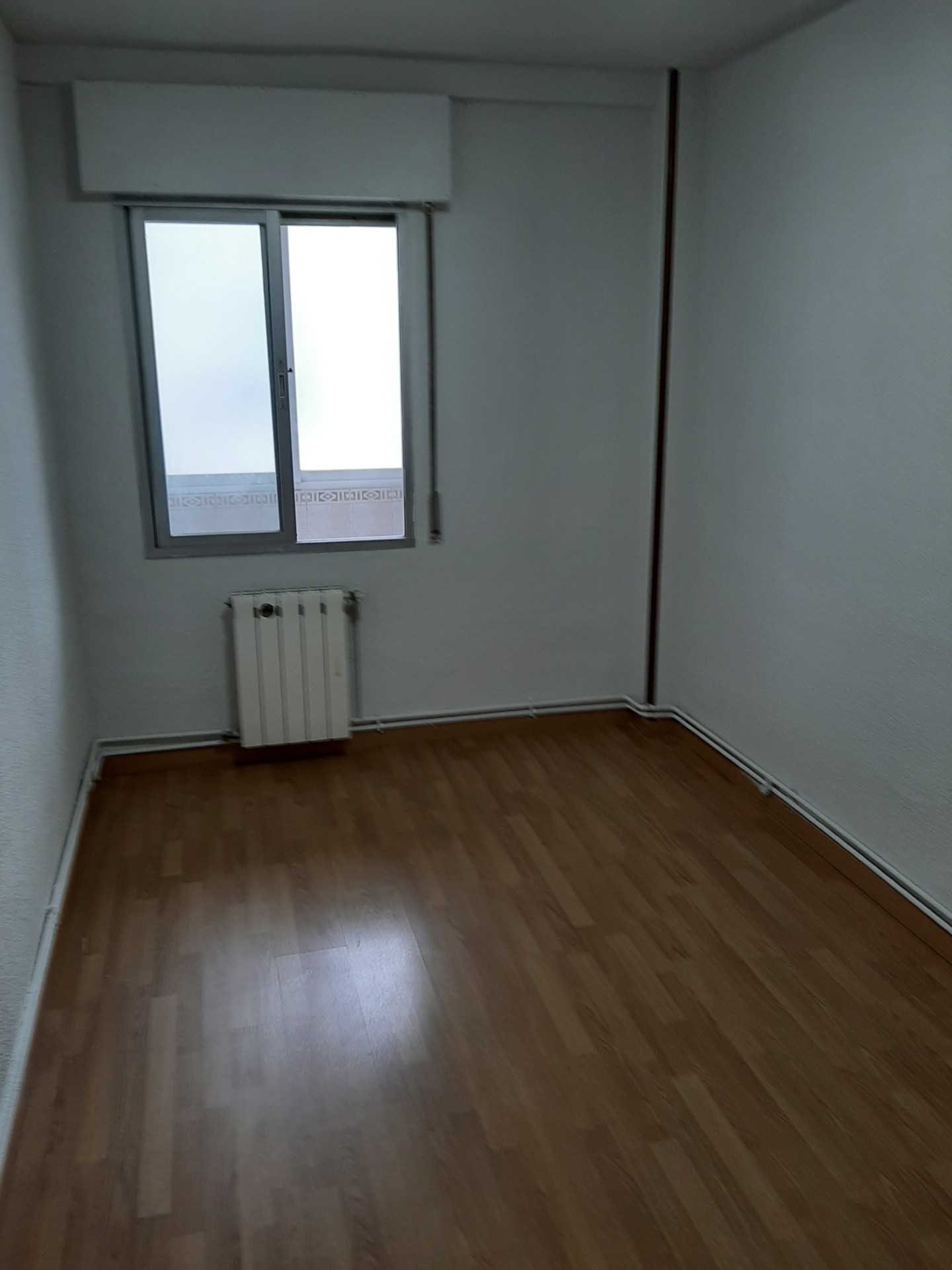thumbnail_20250308_104704.jpg